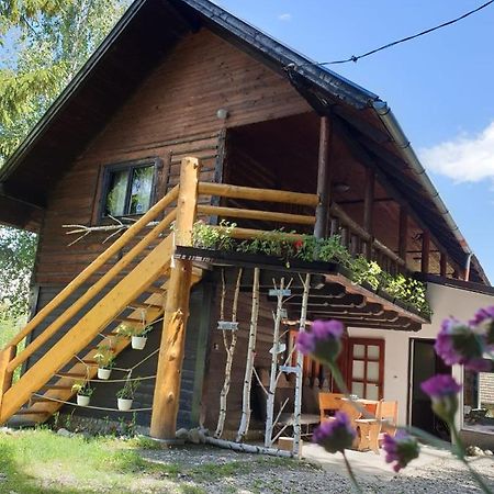 Pensiunea Padina برانْ المظهر الخارجي الصورة
