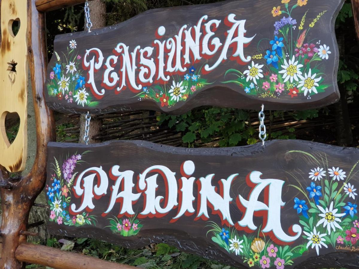 Pensiunea Padina برانْ المظهر الخارجي الصورة