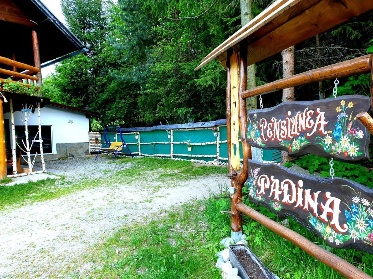 Pensiunea Padina برانْ المظهر الخارجي الصورة