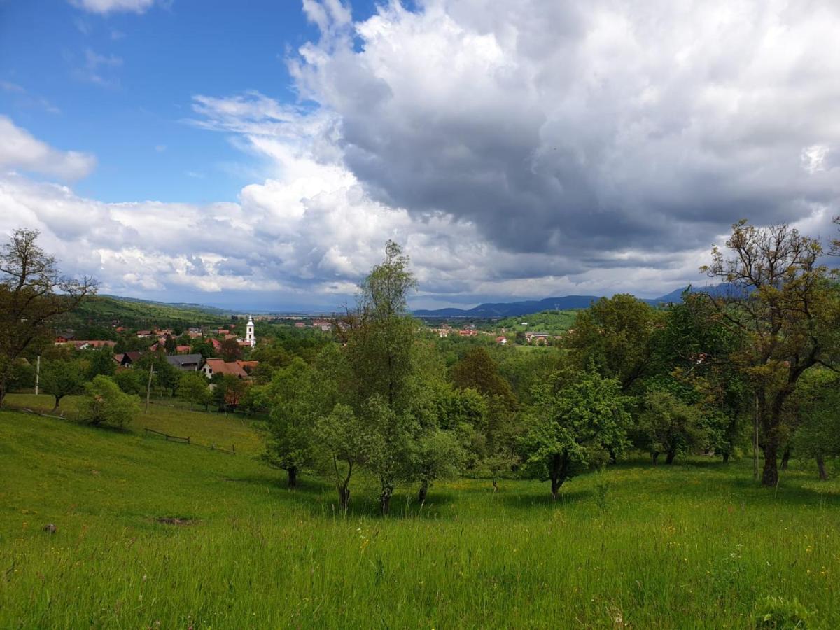 Pensiunea Padina برانْ المظهر الخارجي الصورة