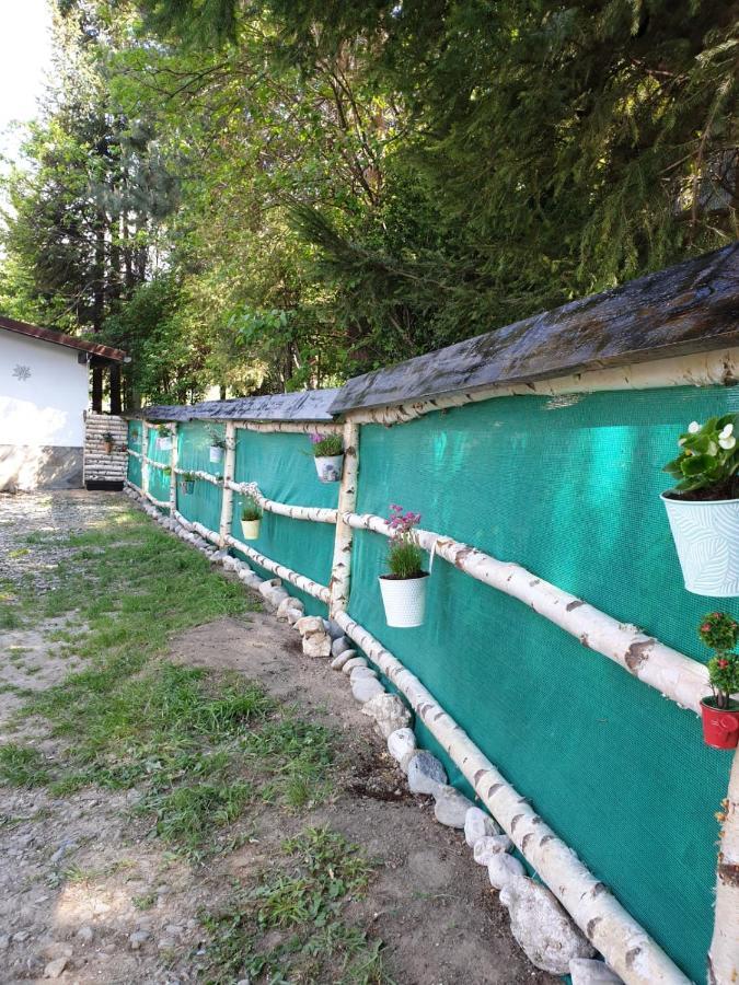 Pensiunea Padina برانْ المظهر الخارجي الصورة
