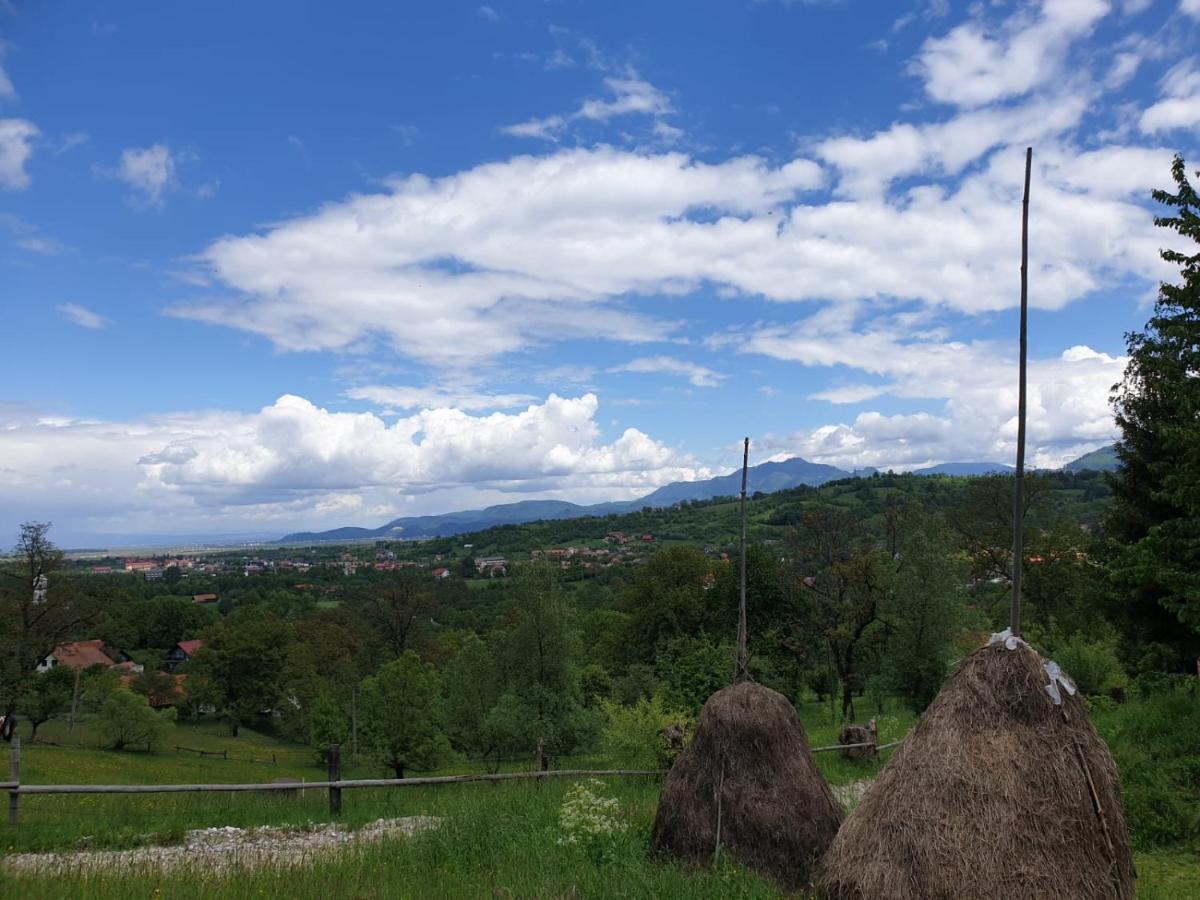 Pensiunea Padina برانْ المظهر الخارجي الصورة